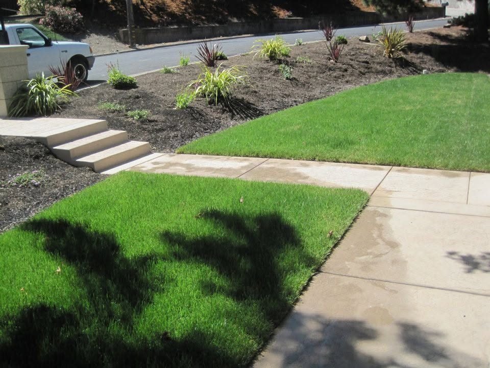 Broom finish concrete walkway with concrete steps beside a lawn