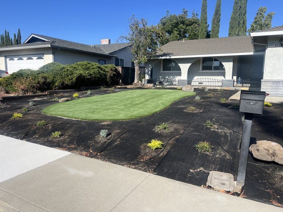 Oval turf accent in a front yard planting bed with a mailbox, boulders and small plants