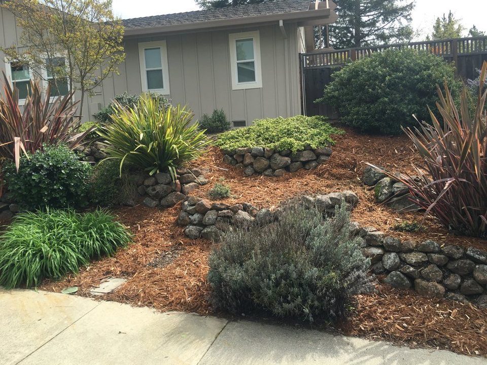 Rock-edged planting bed and graded yard beside a house