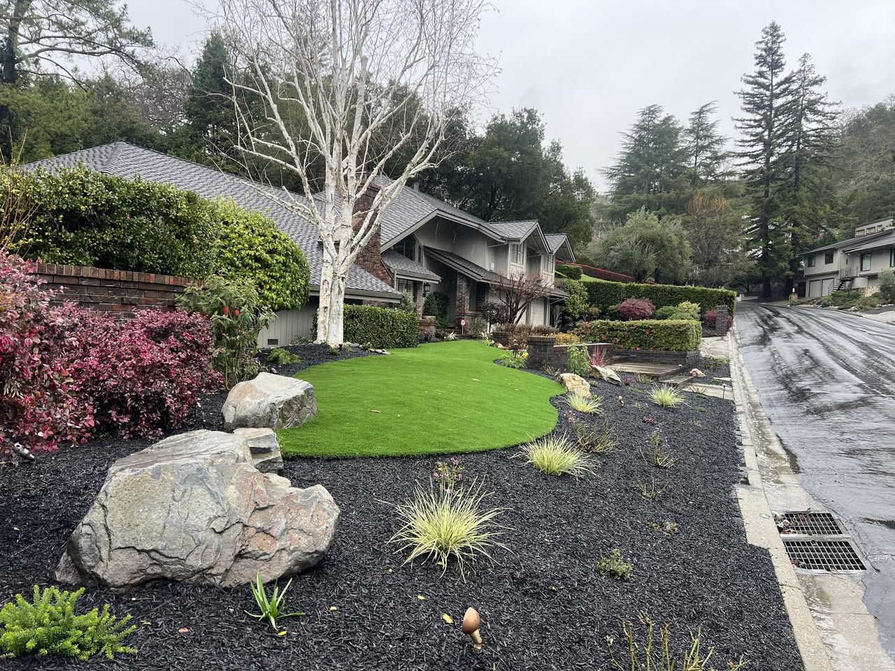 Front yard with a curved synthetic turf lawn, boulders, ornamental grasses and black mulch beds along a hillside street